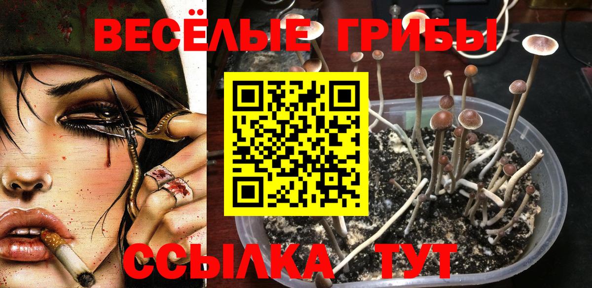 Орехово-Зуево  Галлюциногенные грибы MAGIC MUSHROOMS  Вход с VPN 
